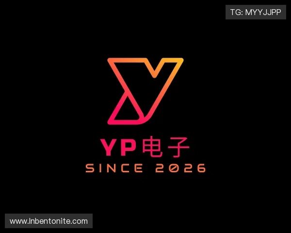 了解YP电子